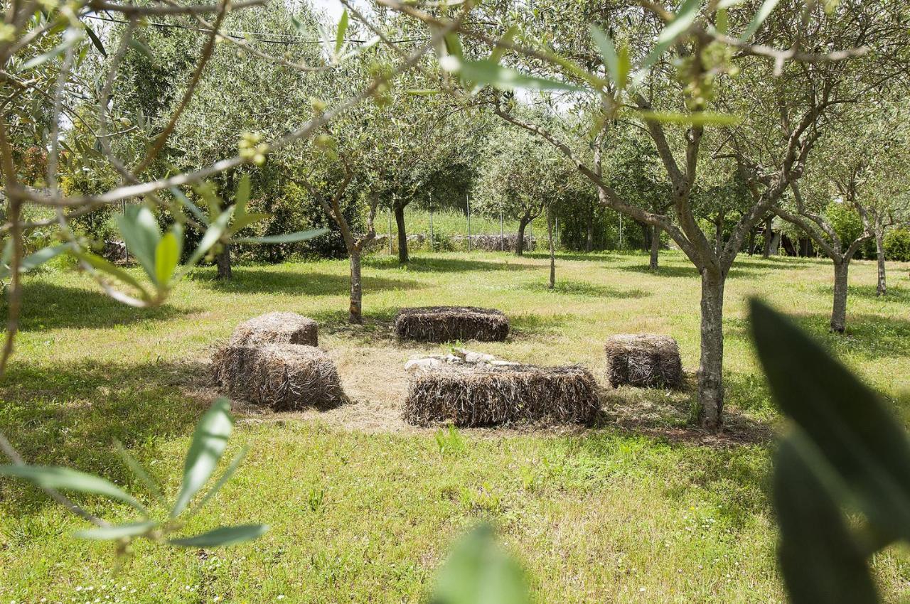 B&B Trulli Valle D'Itria มาร์ตินาฟรังกา ภายนอก รูปภาพ